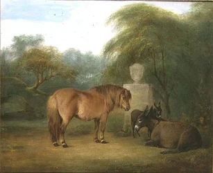 Pony og æsler i en lysning
